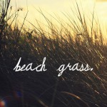Yesiah "Beach Grass" mastered by Groove-Phonic and available for free download